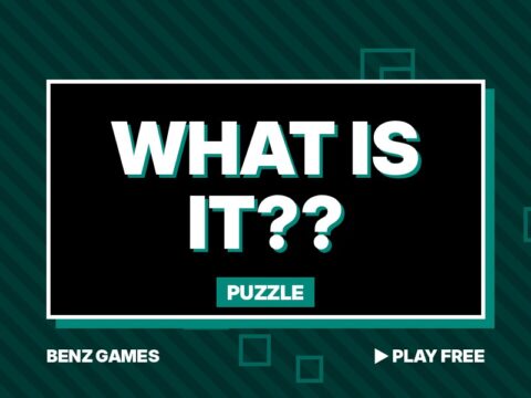 What Is It?? screenshot