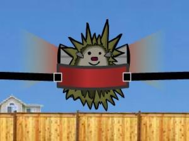 Hedgehog Launch screenshot