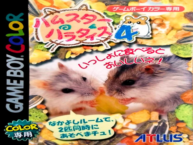 Hamster Paradise 4 screenshot