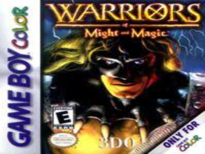 Warriors of Might and Magic screenshot