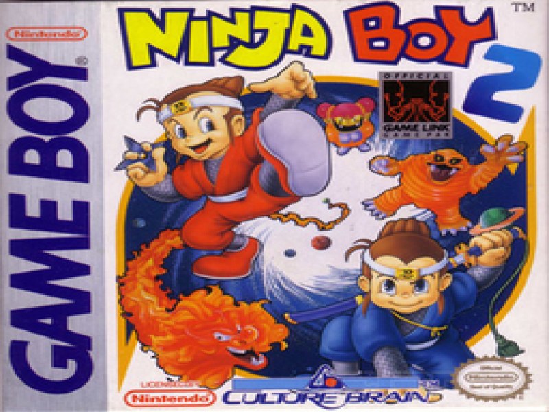 Ninja Boy 2 screenshot