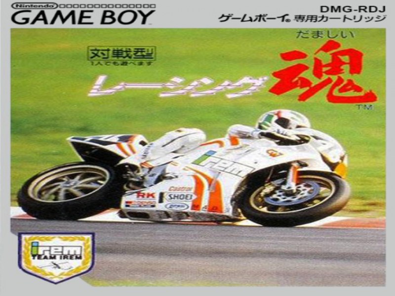Racing Damashii screenshot